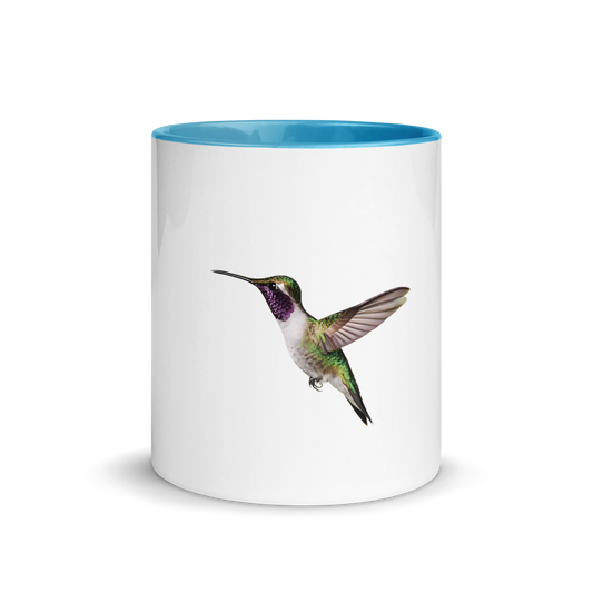 Taza color interior Colibrí - daleuntoke.com