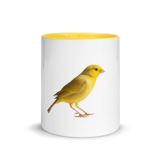 Taza color interior Canario - daleuntoke.com