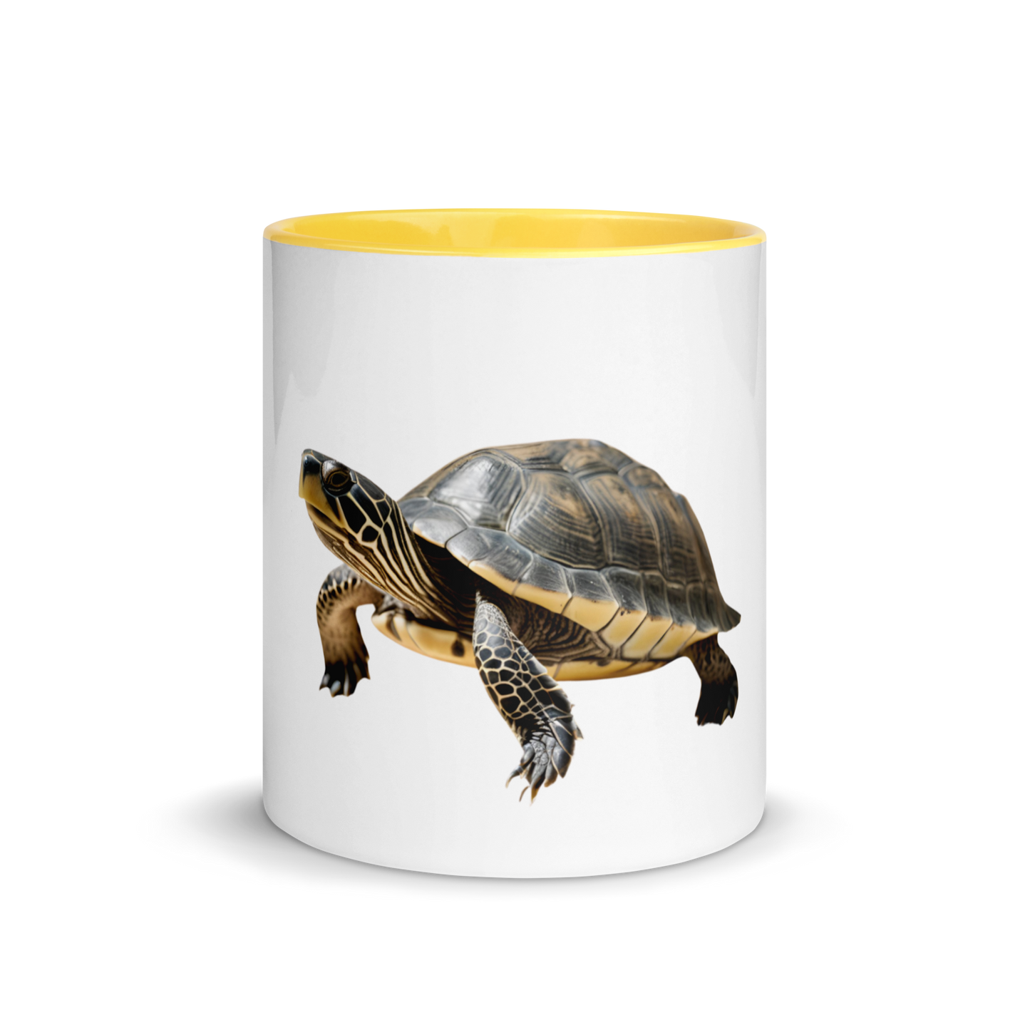 Taza color interior Tortuga - daleuntoke.com